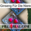 Ginseng Für Die Niere 14
